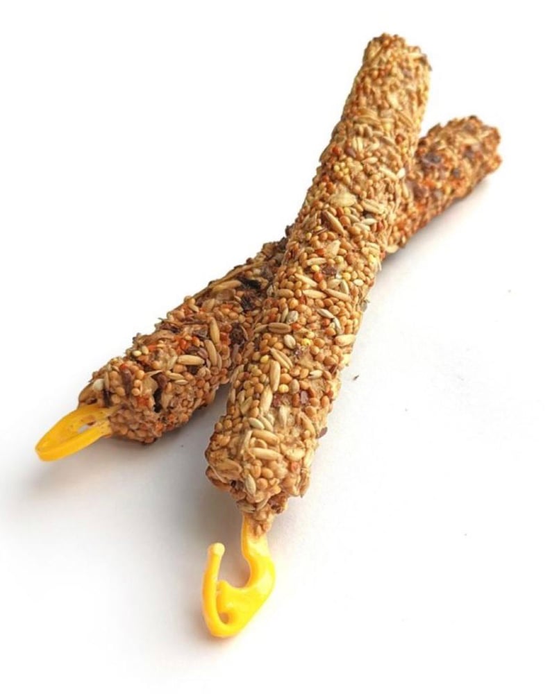 Snack with honey and fruits for the budgerigar