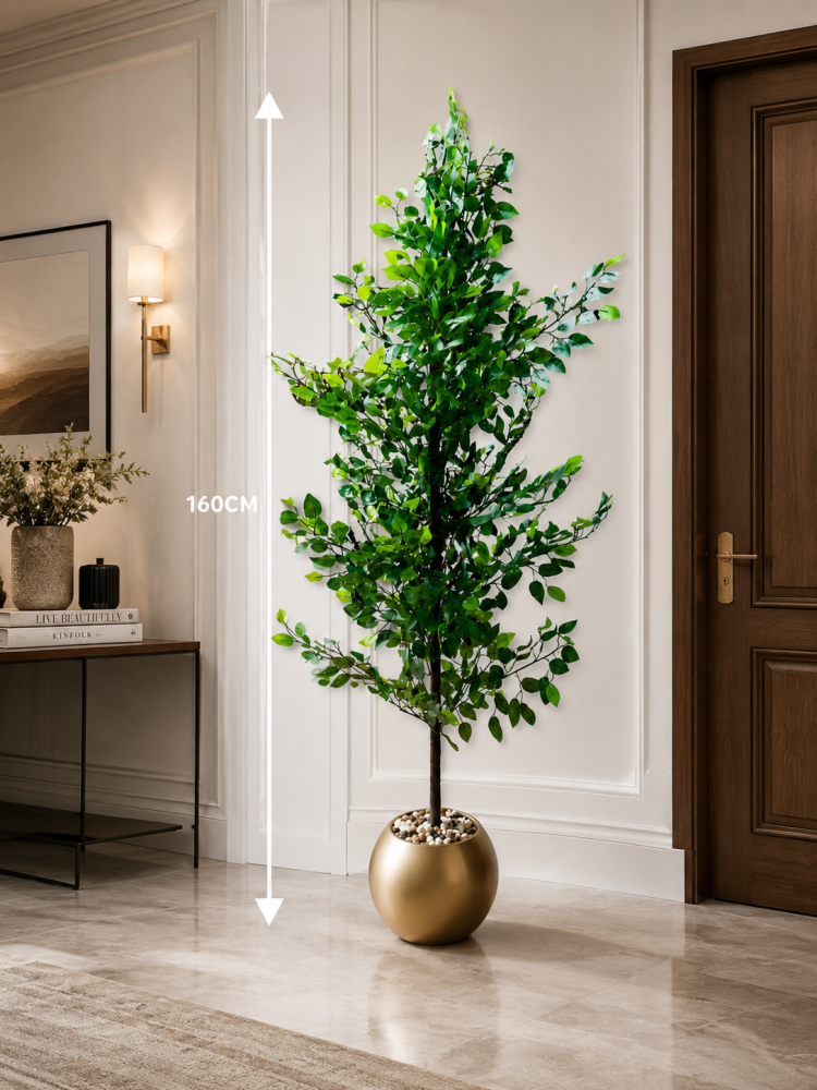 Lemon Tree 160cm شجرة الليمون