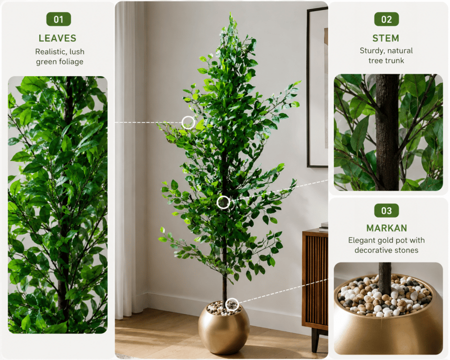 Lemon Tree 160cm شجرة الليمون