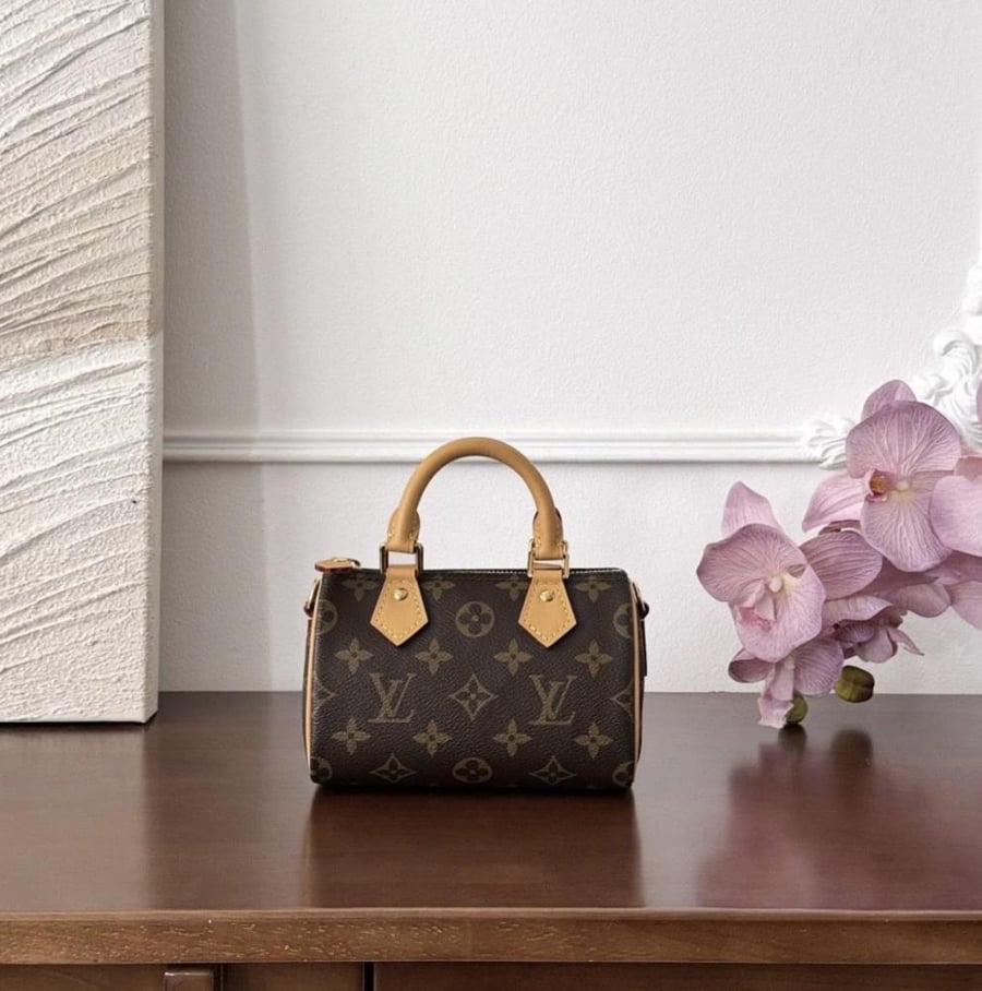 LV bag
