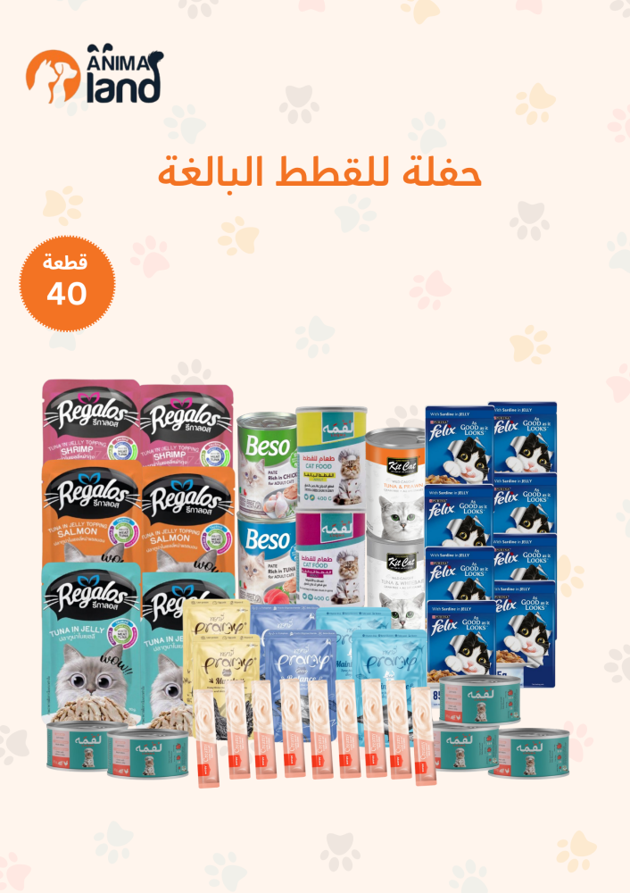 بكج حفلة القطط 40 قطعة