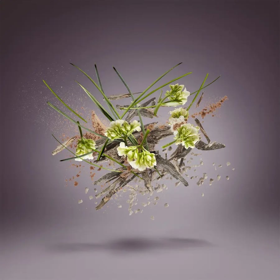 زيت عطري جافا بلوسوم من زيرجوف | Xerjoff Java Blossom