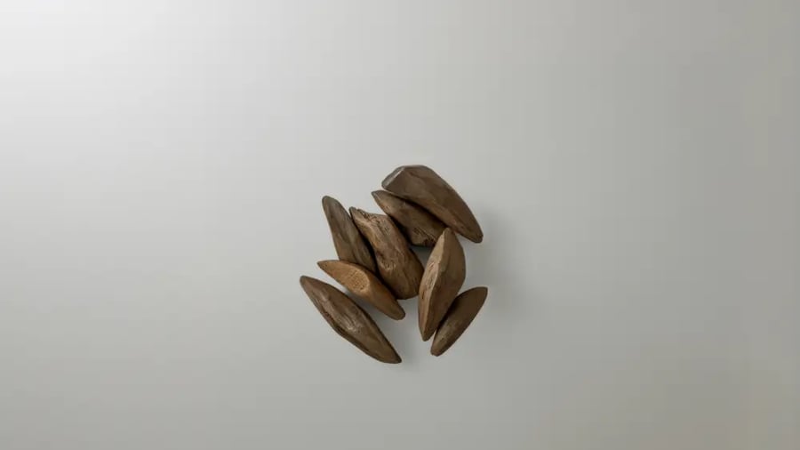 عود مروكي اصقون