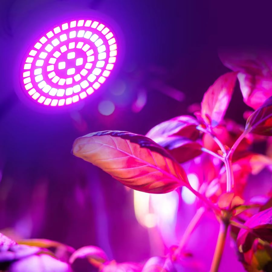 اضاءة نباتات Full Spectrum Growlight - متجر بذرات الزراعي