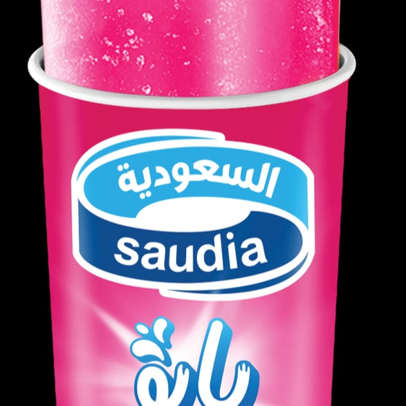 ايس كريم السعودية  بابو التوت بوش اب