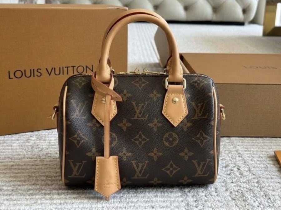 حقيبة يد نسائية من ماركة لويس فيتون (  Louis Vuitton)