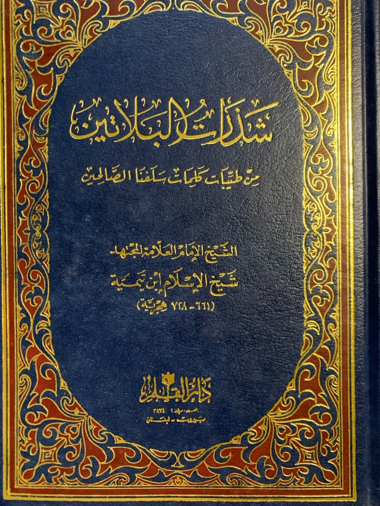 شذرات البلاتين ، شيخ الإسلام ابن تيمية