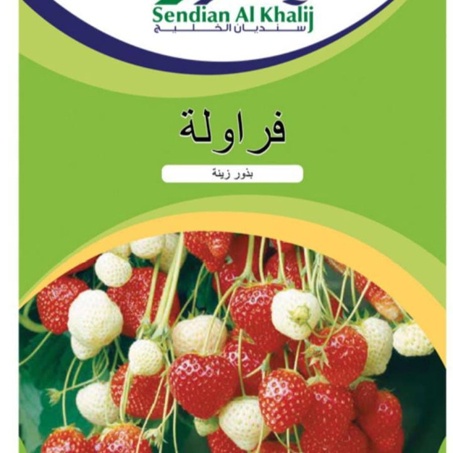 فراولة