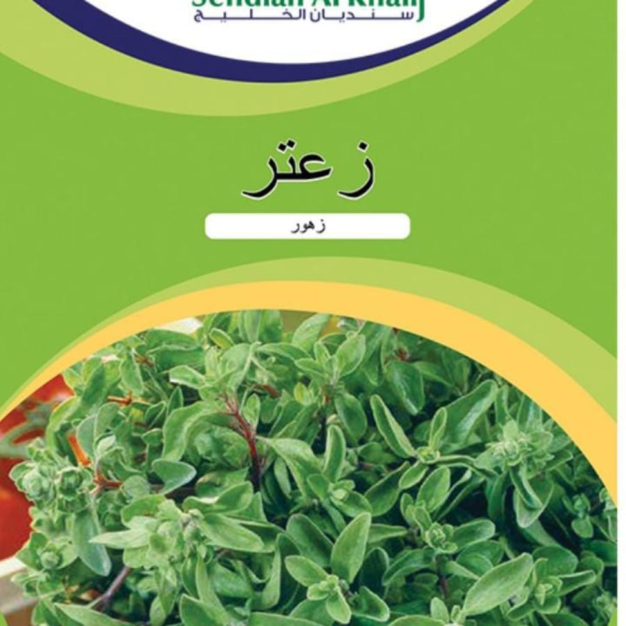 زعتر