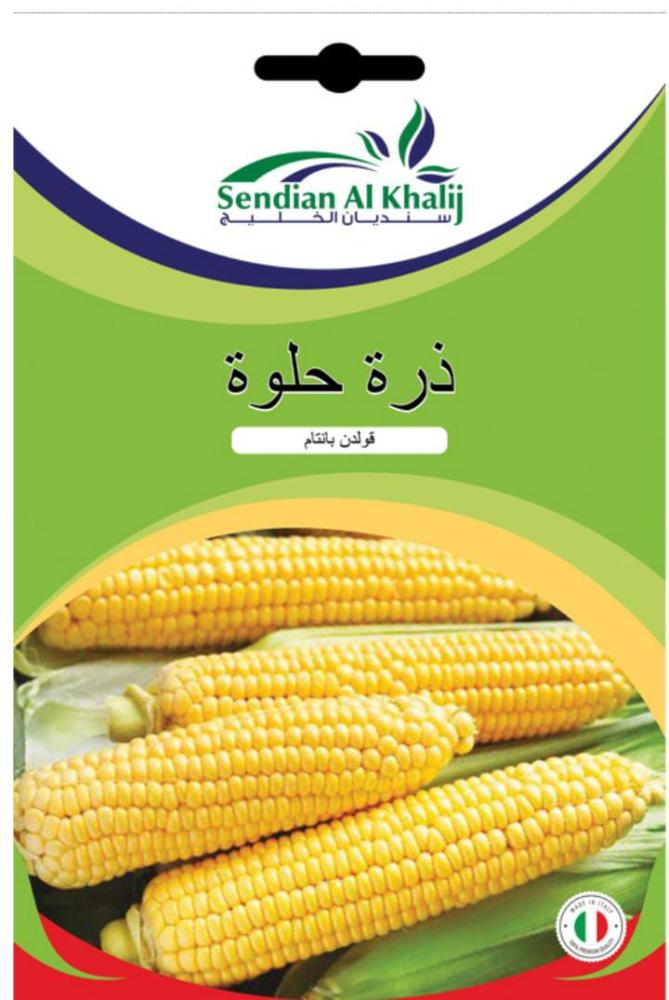 بذور ذرة الحلوة