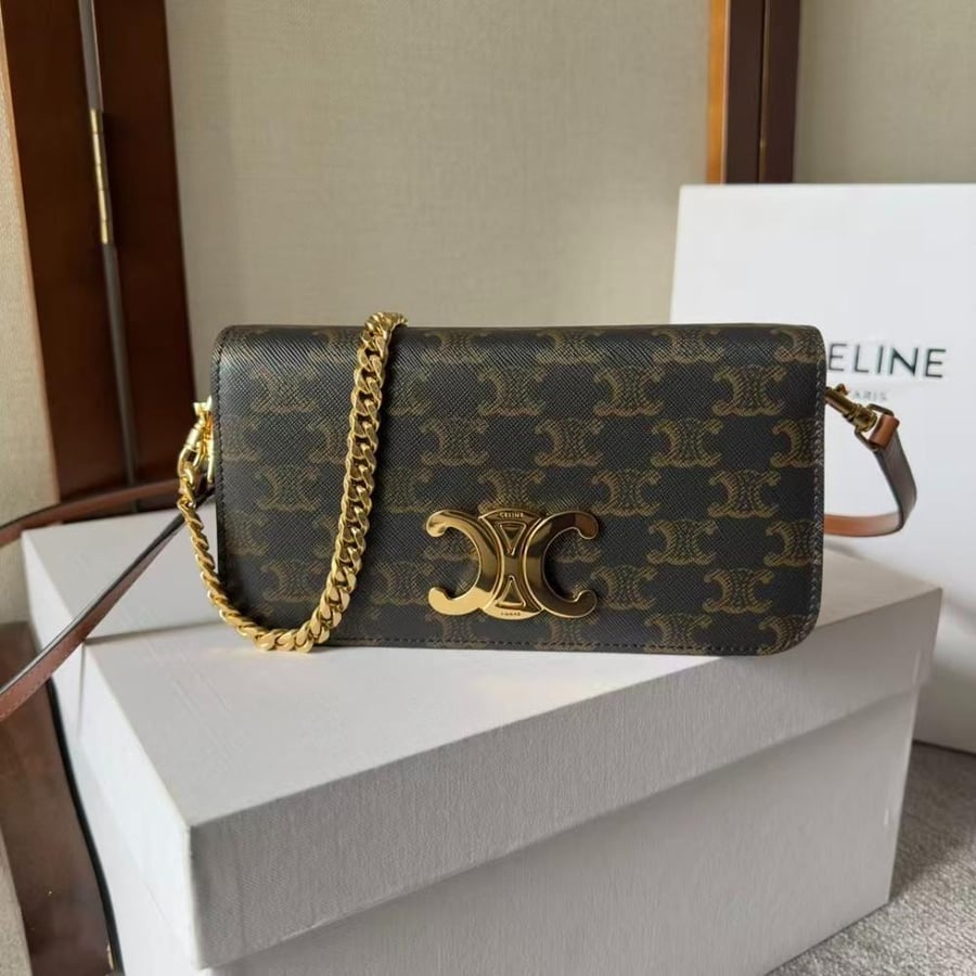 Celine Triomphe Canvas