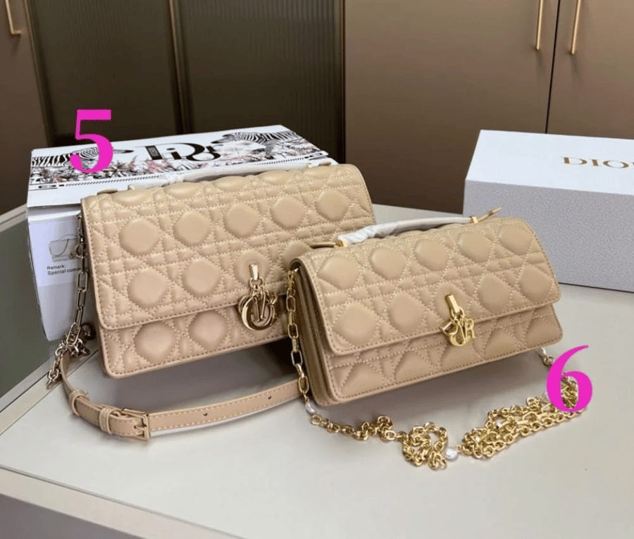 Dior mini bag