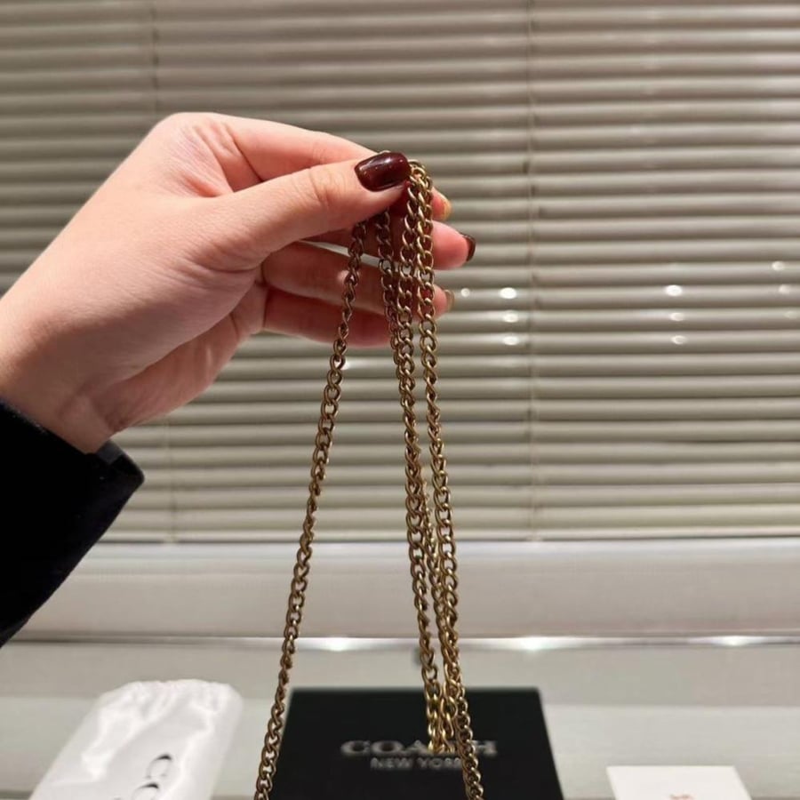 Coach mini bag