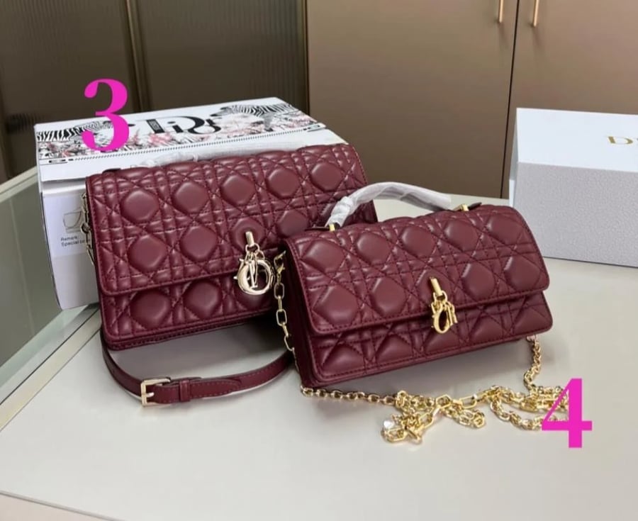 Dior mini bag