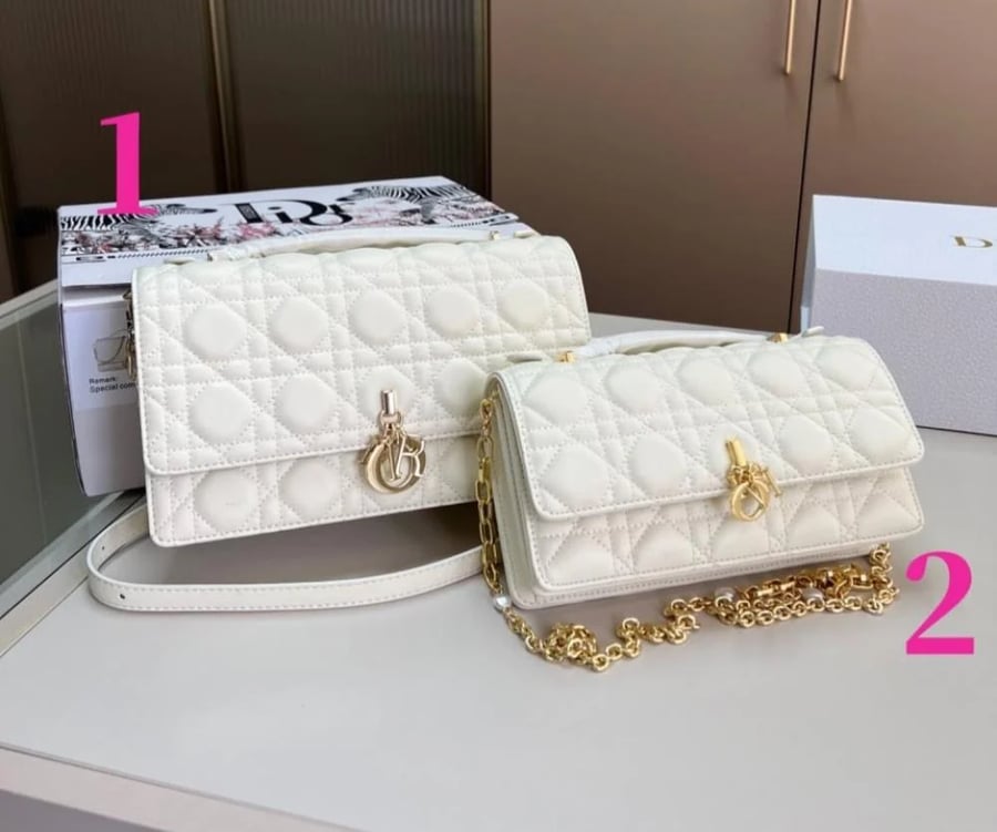 Dior mini bag