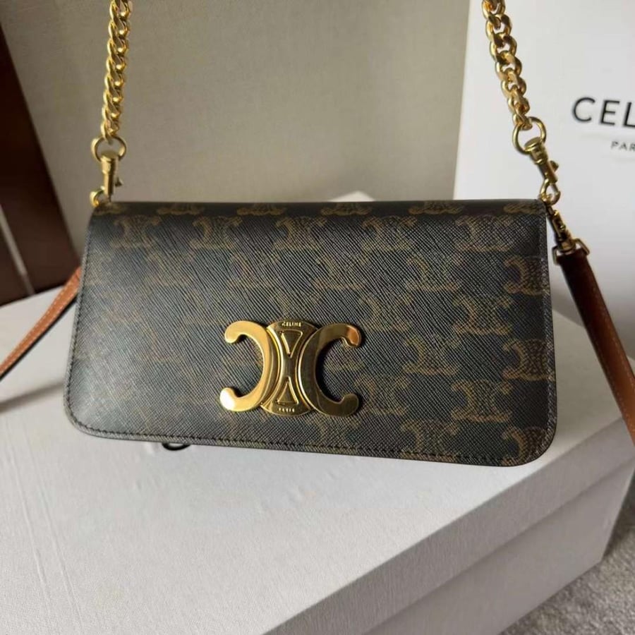 Celine Triomphe Canvas