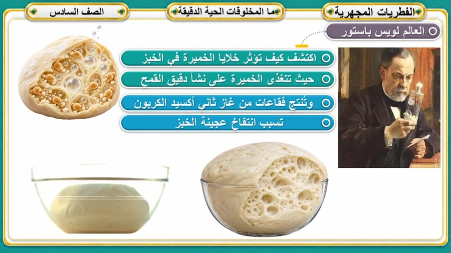 عمليات الحياة في المخلوقات الدقيقة  الصف السادس