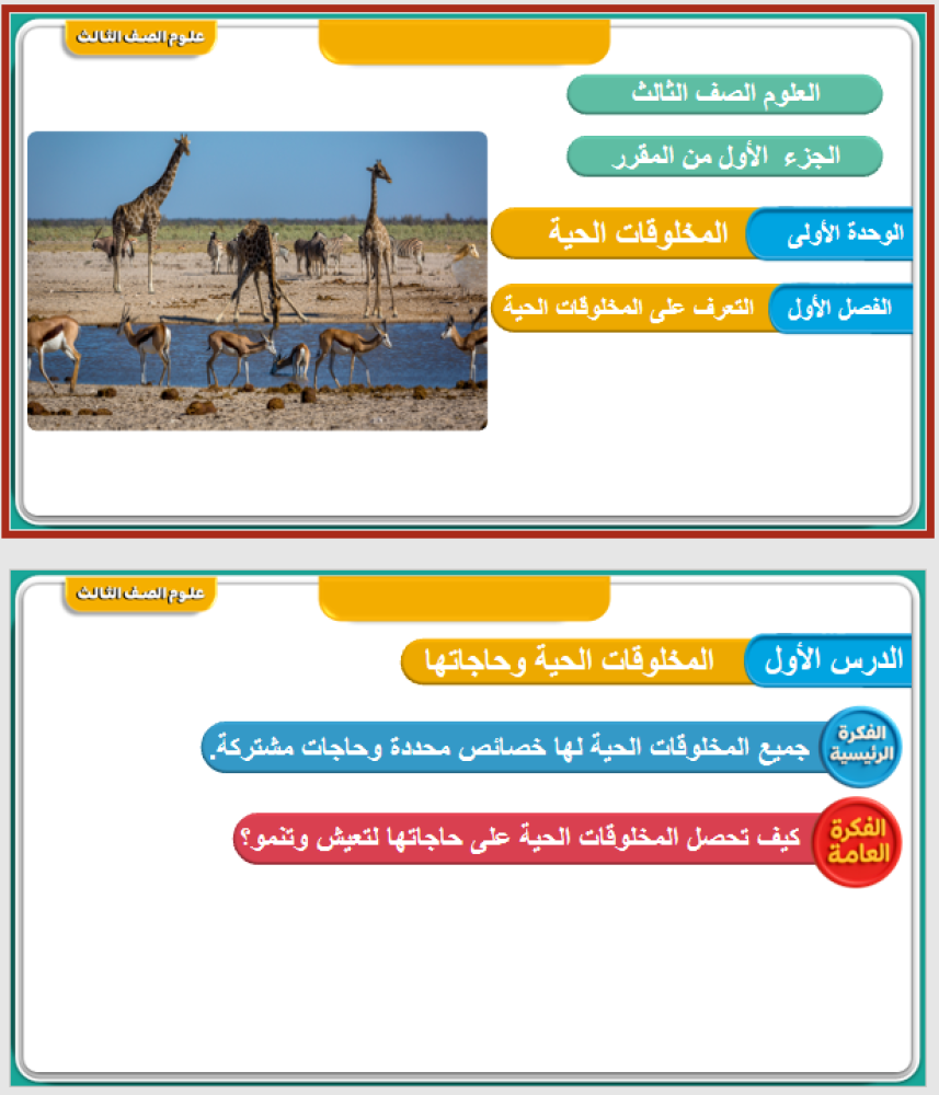 علوم الصف الثالث الفصل : التعرف على المخلوقات الحية