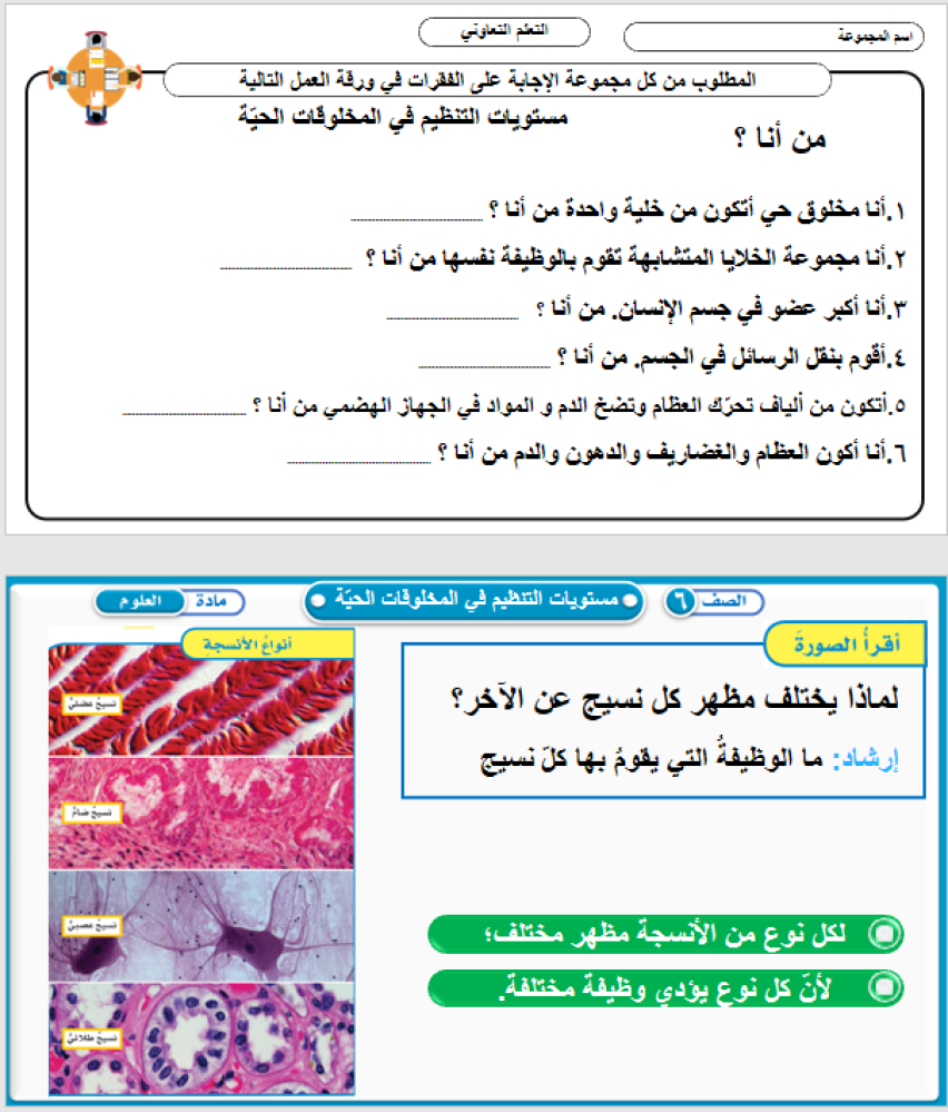 علوم الصف السادس  تنوع الحياة  الفصل الأول: الخلايا