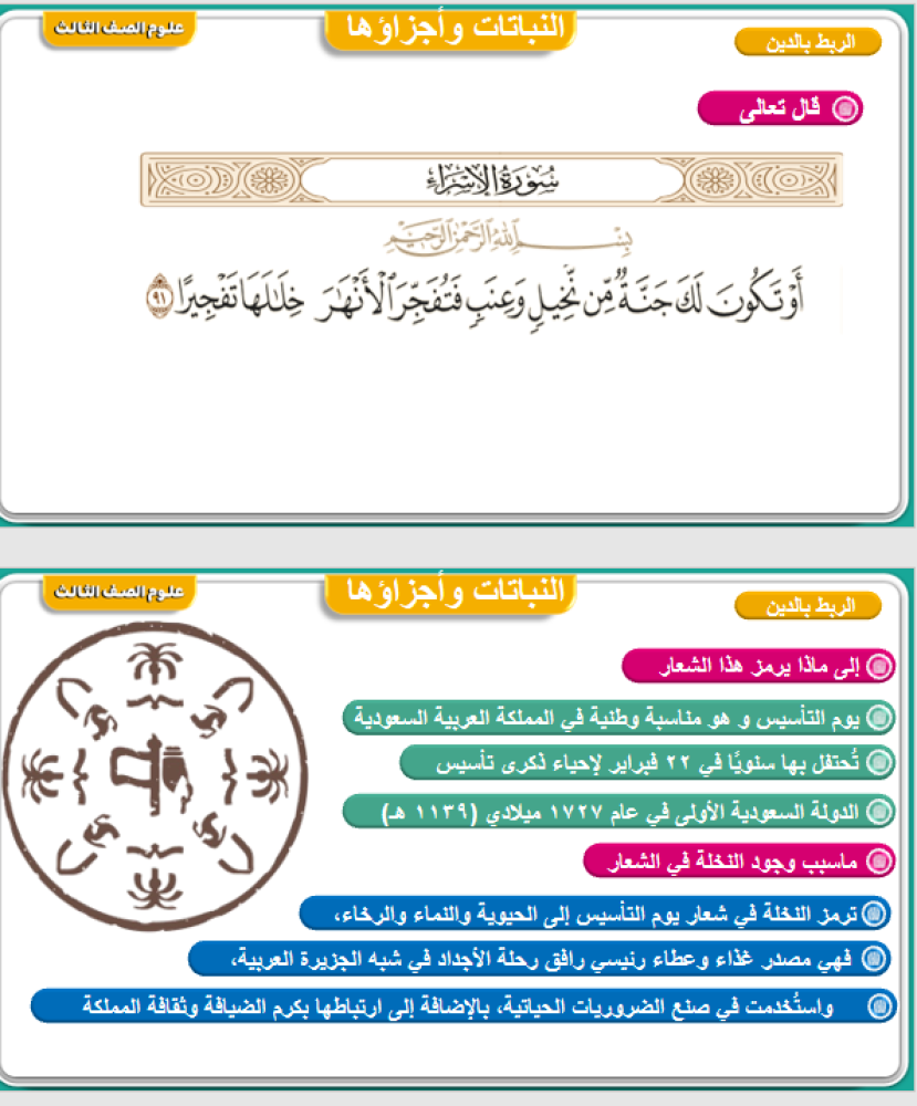 علوم الصف الثالث الفصل : التعرف على المخلوقات الحية