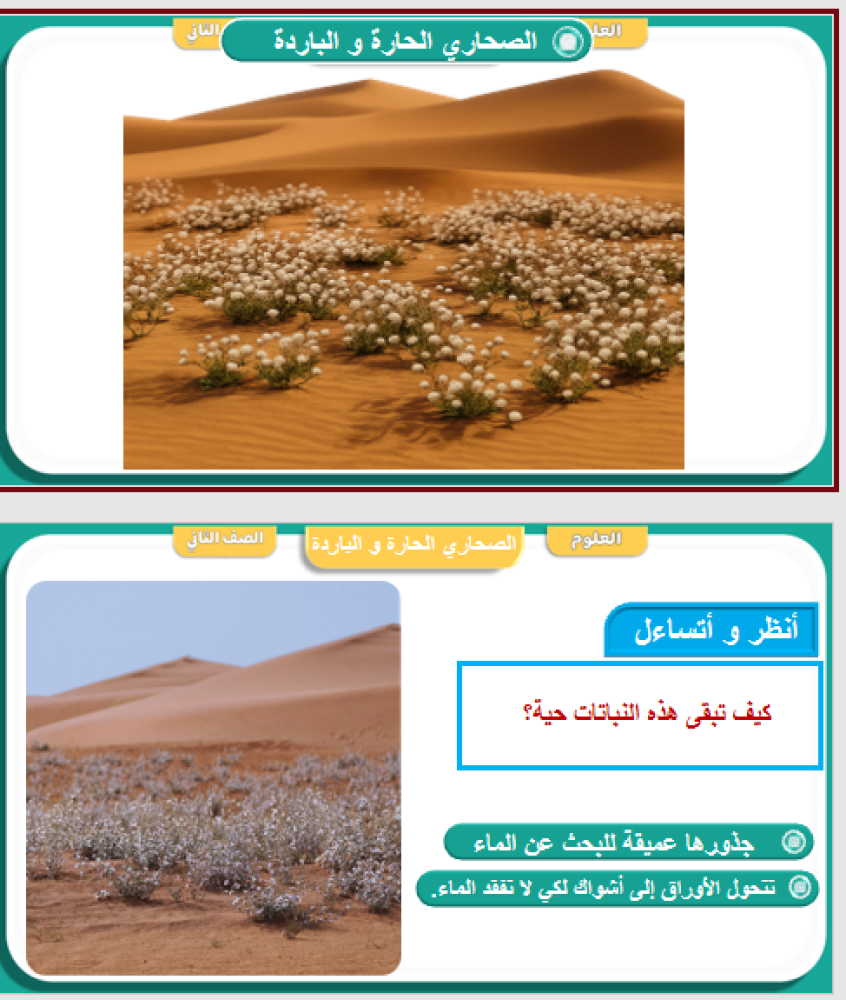 علوم الصف الثاني الوحدة الثانية   الفصل الرابع  أنواع المواطن الدرس الأول   الصحاري الحارة الباردة