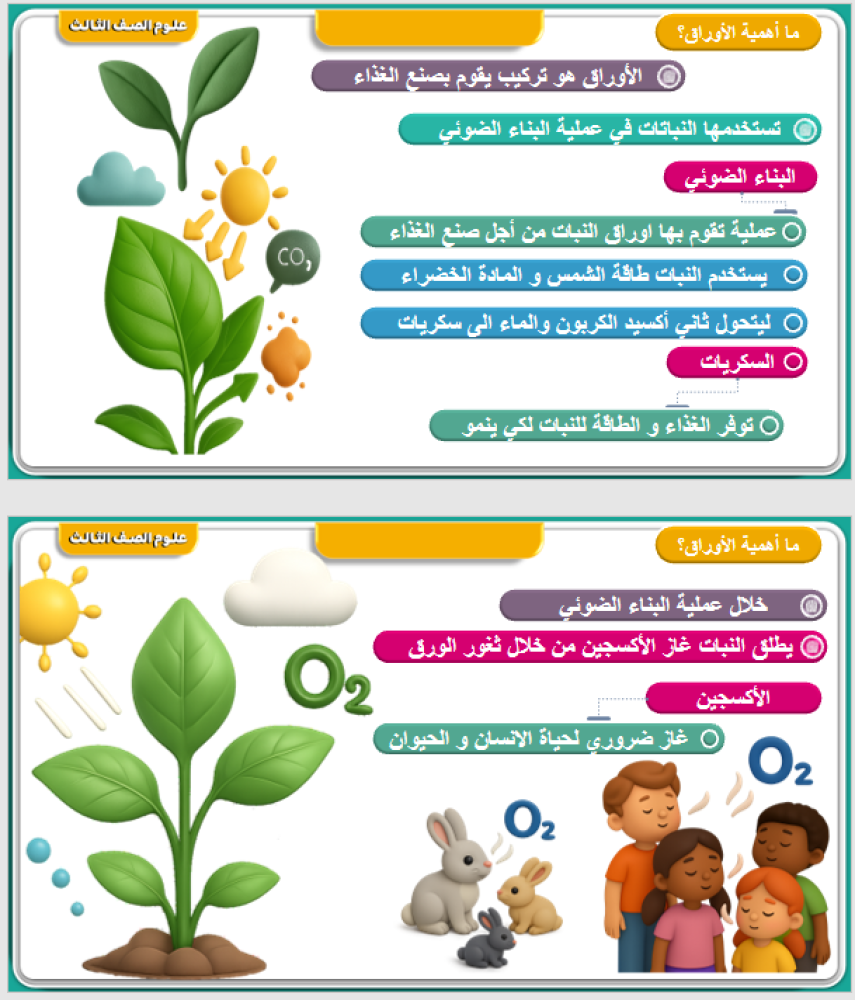علوم الصف الثالث الفصل : التعرف على المخلوقات الحية