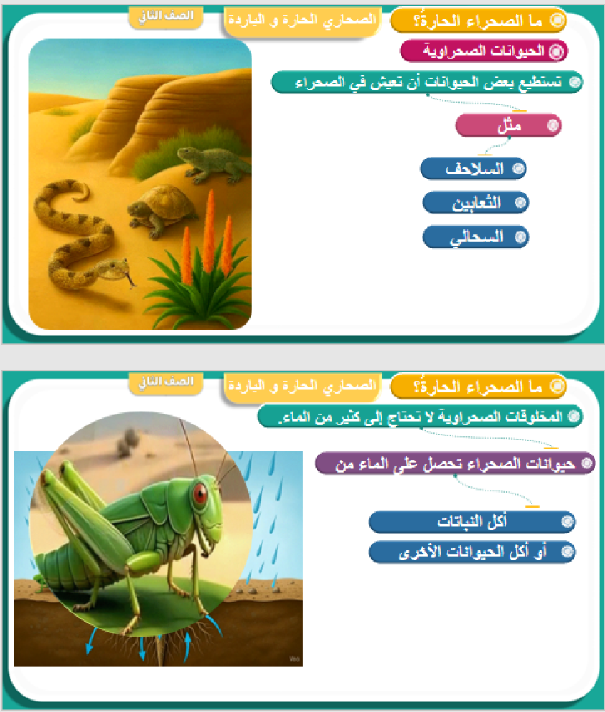 علوم الصف الثاني الوحدة الثانية   الفصل الرابع  أنواع المواطن الدرس الأول   الصحاري الحارة الباردة