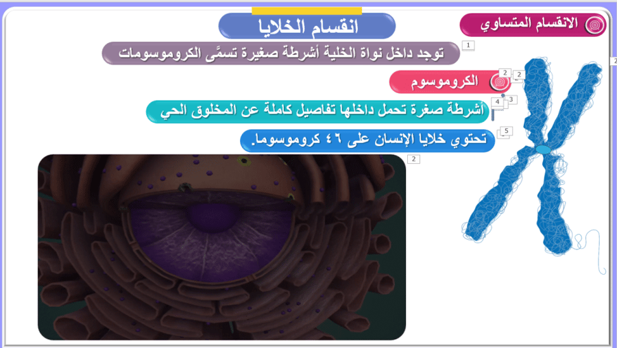 علوم الصف السادس الفصل الثاني: الخلية والوراثة