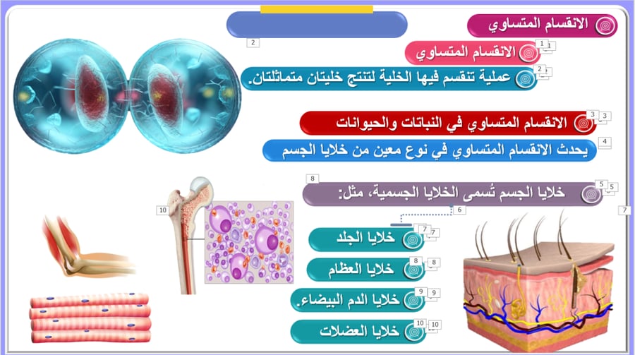 علوم الصف السادس الفصل الثاني: الخلية والوراثة