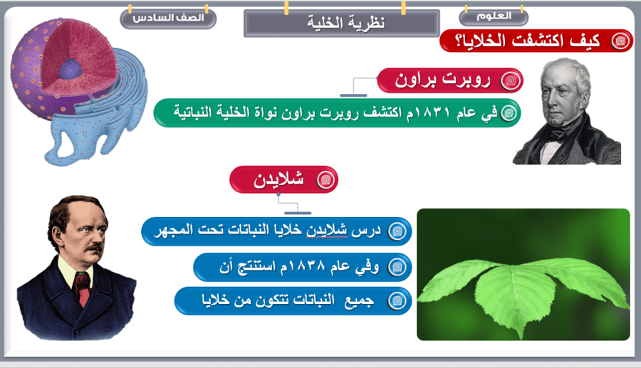 علوم الصف السادس  تنوع الحياة  الفصل الأول: الخلايا