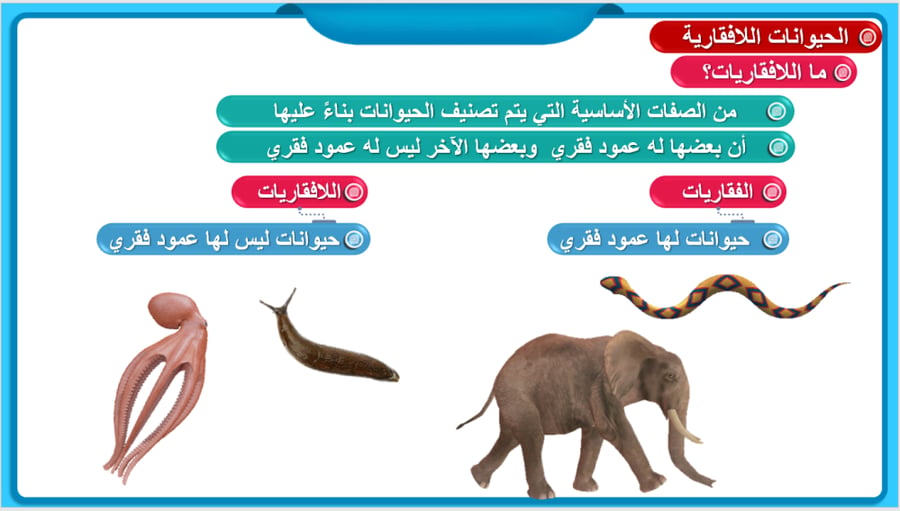علوم الصف الرابع الفصل الثاني: المملكة الحيوانية