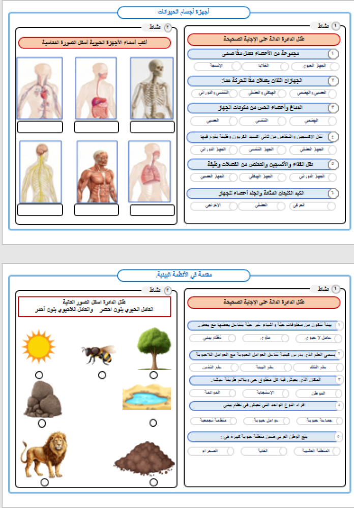 خطط الاثراء و معالجة الضعف في مادة العلوم للصف الرابع