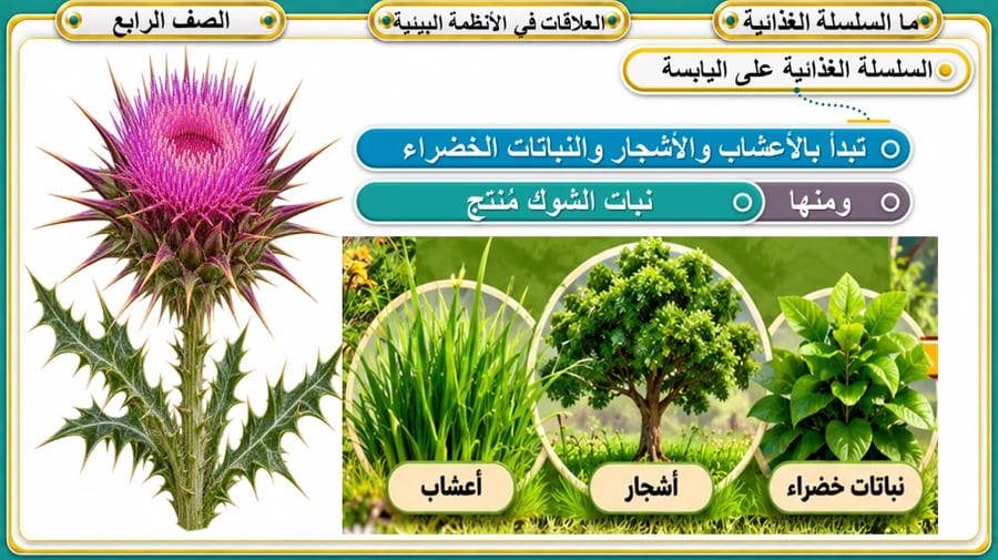 العلاقات في الانظمة البيئية - الصف الرابع