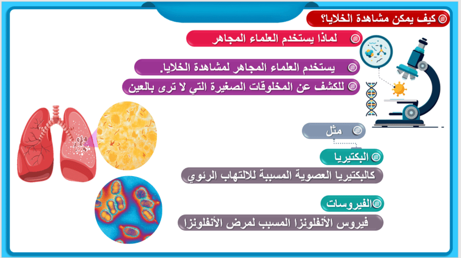 علوم الصف الرابع  الفصل : ممالك المخلوقات الحية