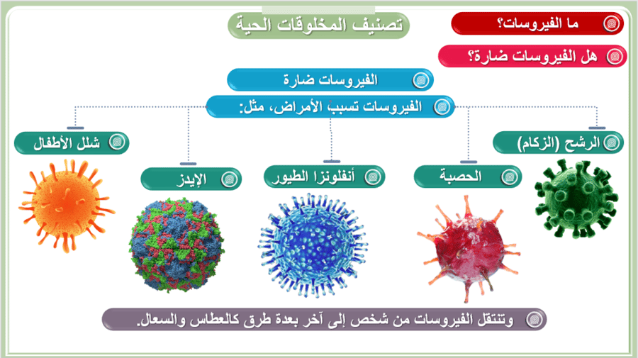 علوم الف الخامس تنوع الحياة الفصل الأول ممالك المخلوقات الحية