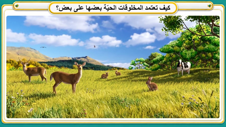 العلاقات في الانظمة البيئية - الصف الرابع