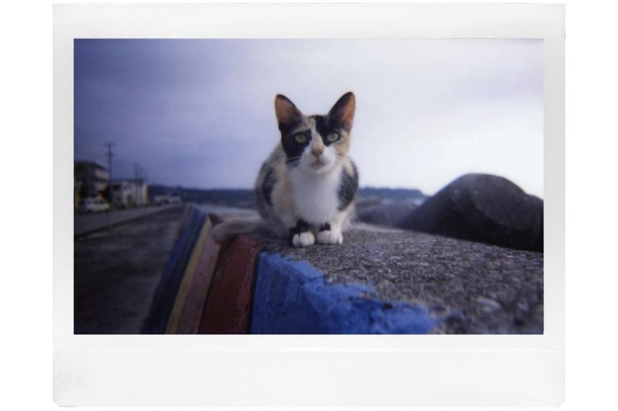 Lomography Lomo Instant Wide - Black