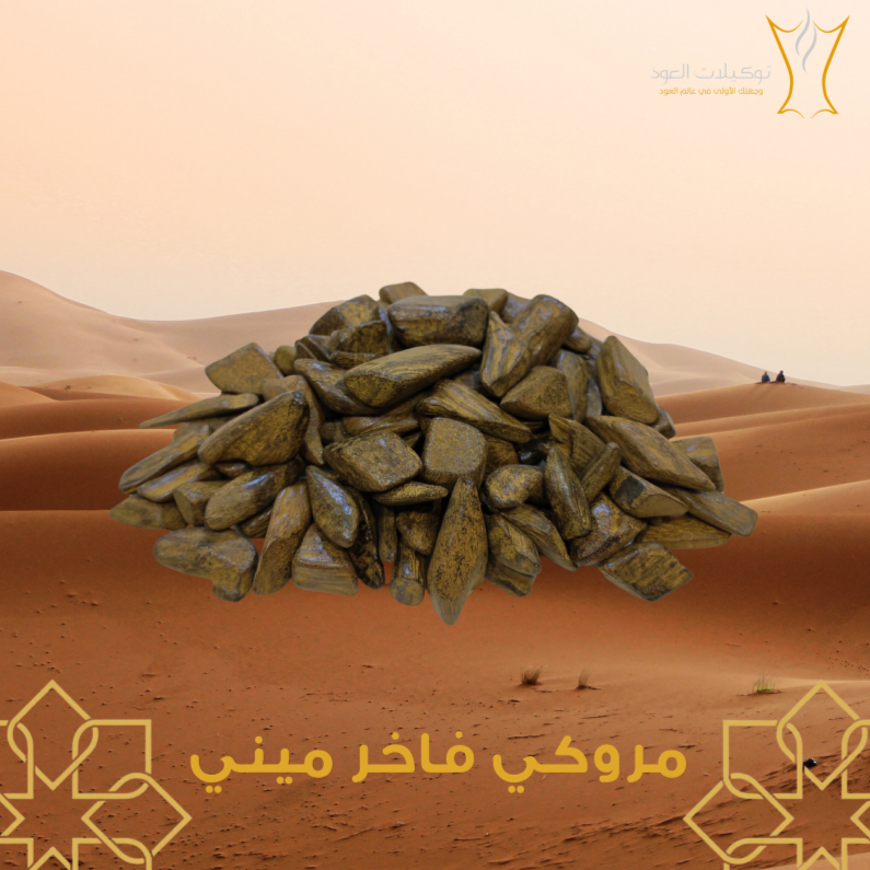 مروكي فاخر ميني