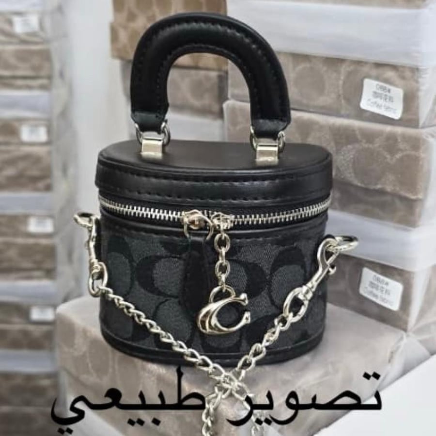 كوتش ميني