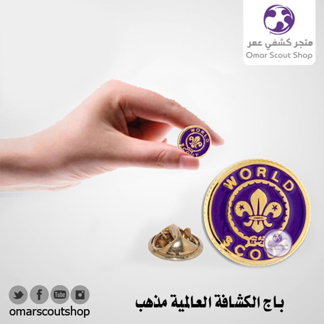 The global scouting badge sect