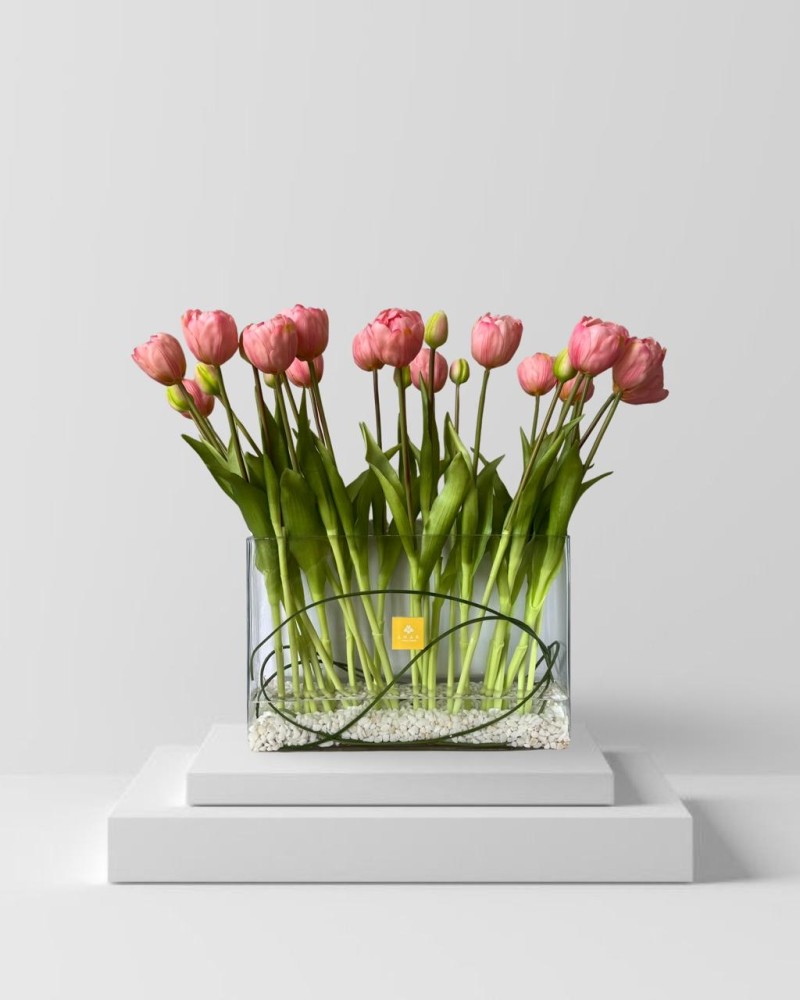 Pink tulip - توليب وردي
