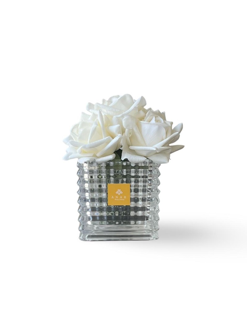 روز أبيض -White rose