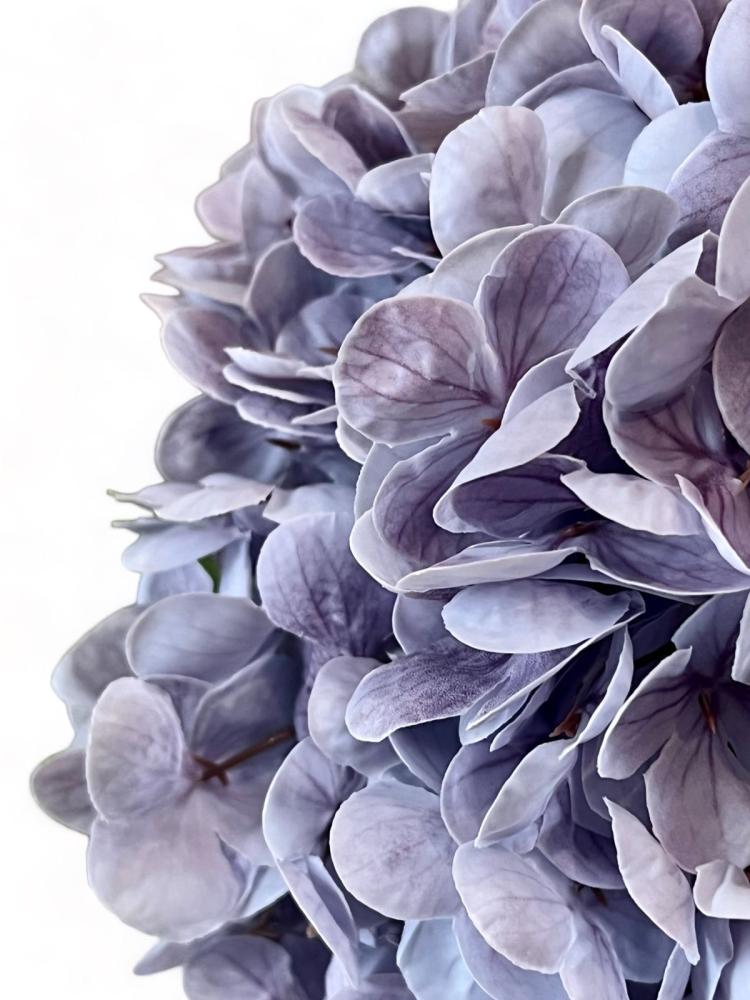 luxury  purple hydrangea