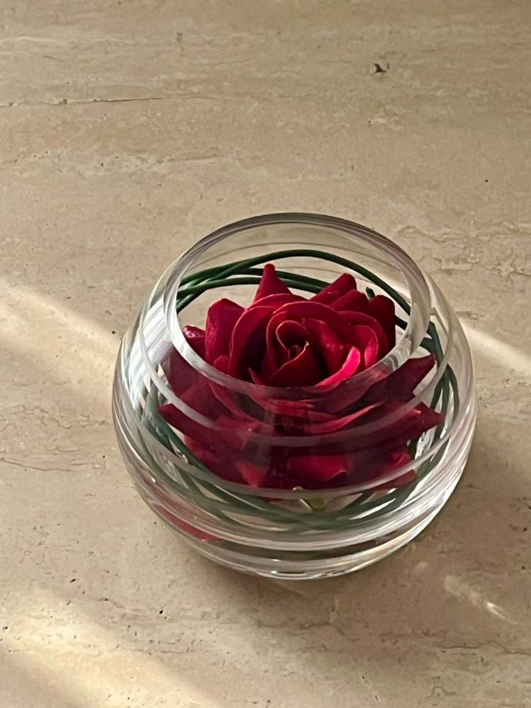 Mini unique rose “ red “