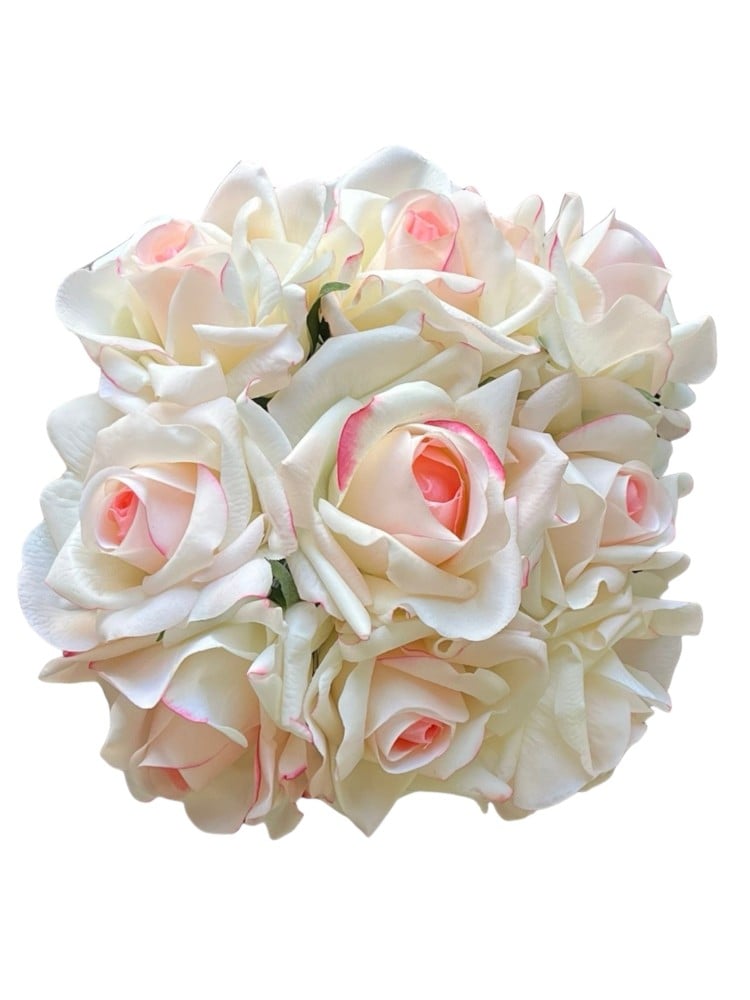 روز أبيض مع زهري-White and pink rose