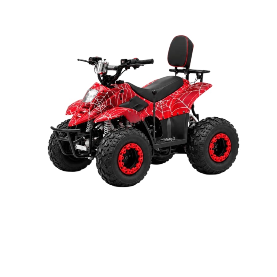 دباب رباعي العجلات بمحرك 110cc