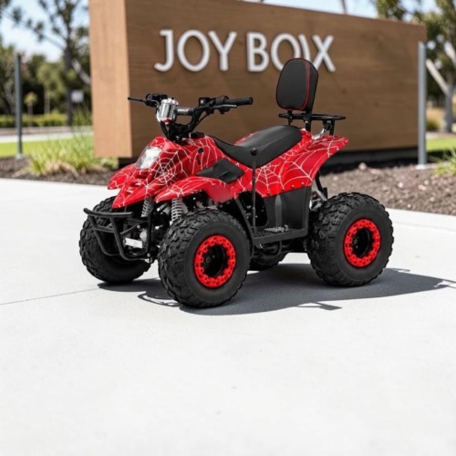دباب رباعي العجلات بمحرك 110cc