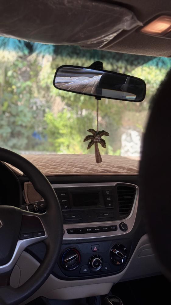 ميـدالية النخلة