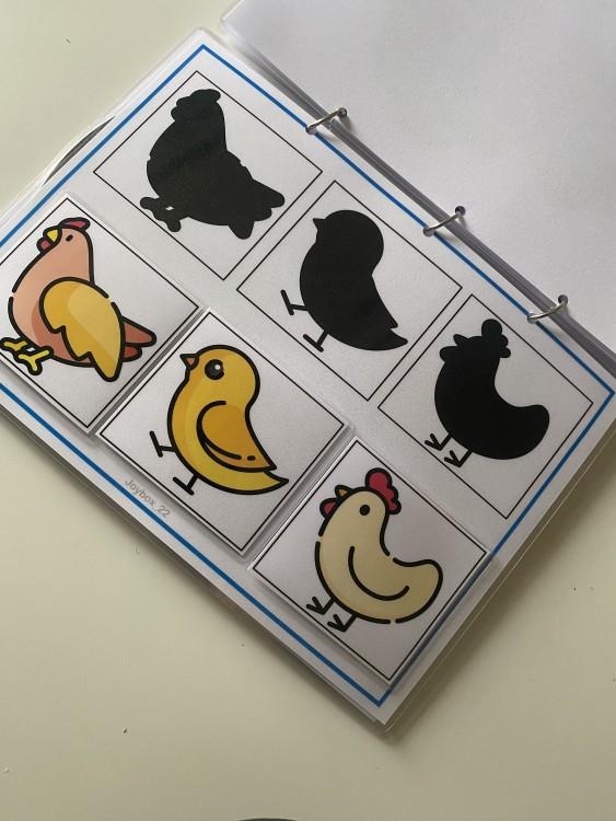 ملزمة أنشطة شاملة