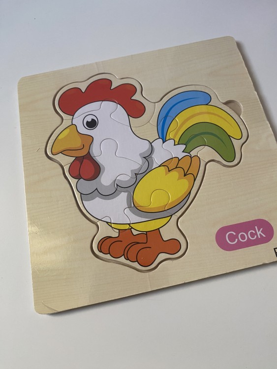 Duck puzzle